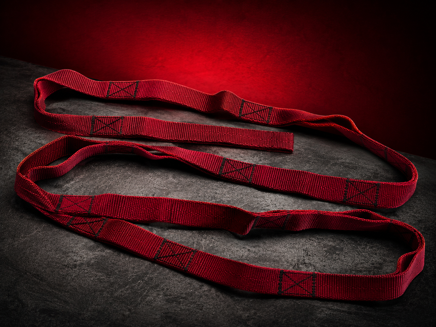 VANSHAJ Gear Heavy Duty Gym Daisy Chain Strap | 16 Loops | 1330KG Main Loop Capacity | 478KG Per Loop | Premium Polyester Construction
