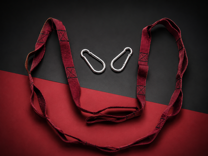 VANSHAJ Gear Heavy Duty Gym Daisy Chain Strap | 16 Loops | 1330KG Main Loop Capacity | 478KG Per Loop | Premium Polyester Construction