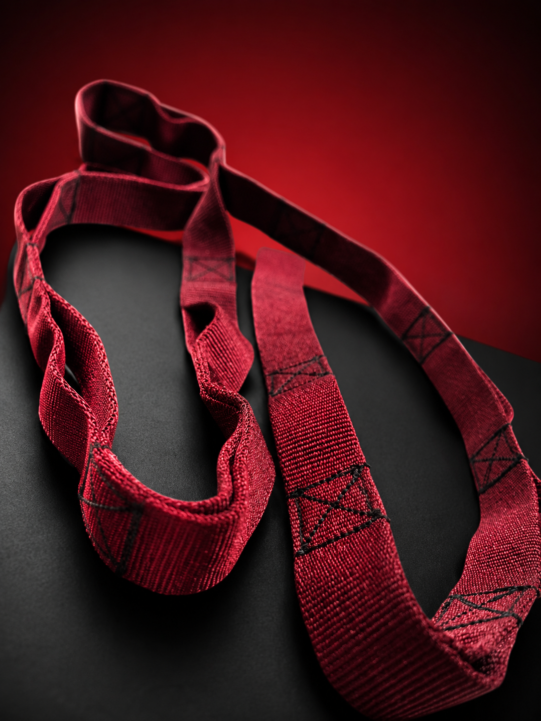 VANSHAJ Gear Heavy Duty Gym Daisy Chain Strap | 16 Loops | 1330KG Main Loop Capacity | 478KG Per Loop | Premium Polyester Construction