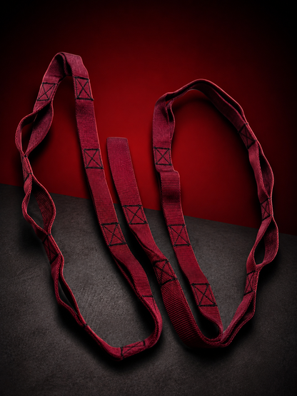 VANSHAJ Gear Heavy Duty Gym Daisy Chain Strap | 16 Loops | 1330KG Main Loop Capacity | 478KG Per Loop | Premium Polyester Construction