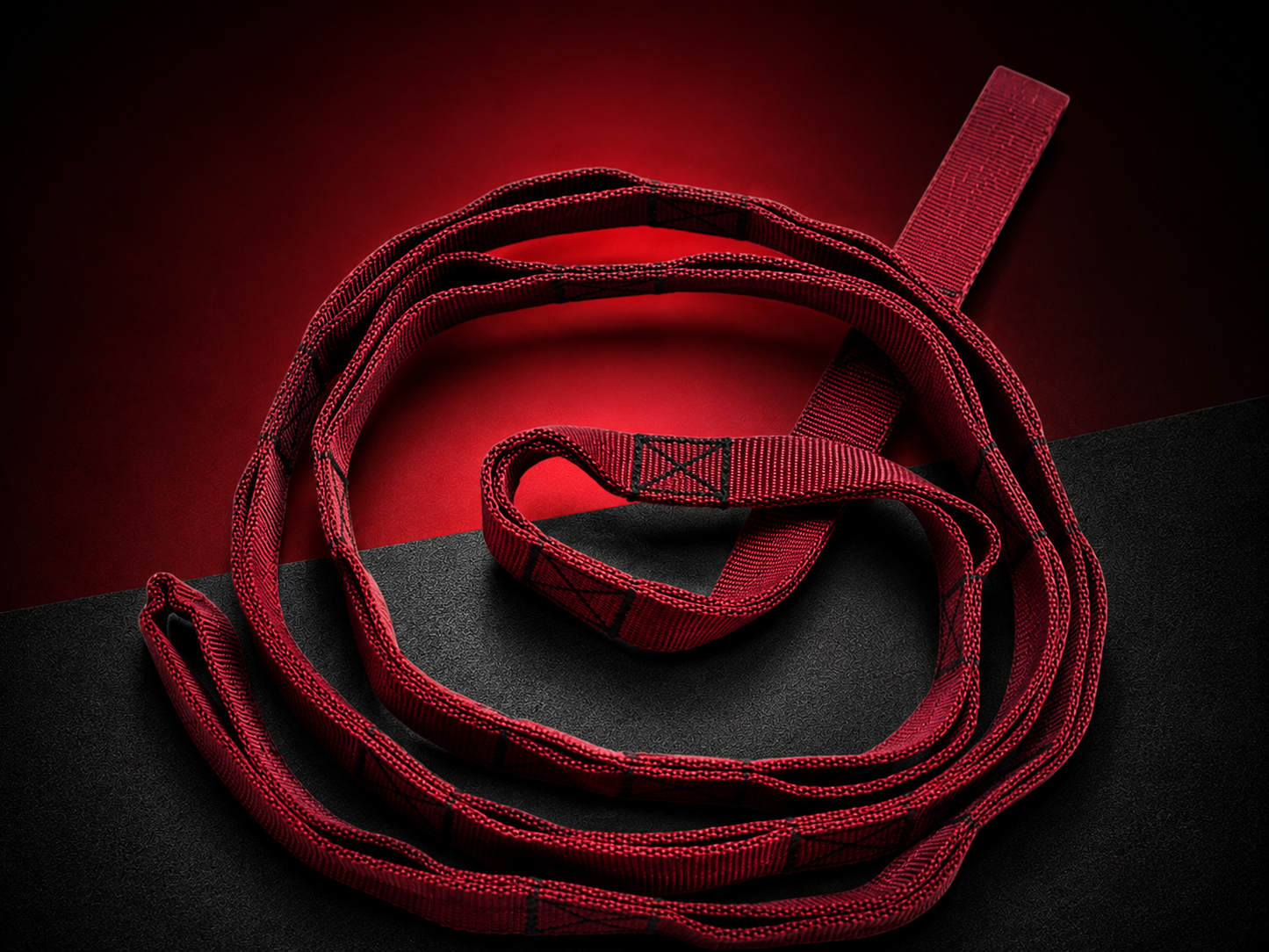 VANSHAJ Gear Heavy Duty Gym Daisy Chain Strap | 16 Loops | 1330KG Main Loop Capacity | 478KG Per Loop | Premium Polyester Construction