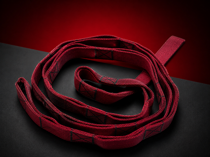VANSHAJ Gear Heavy Duty Gym Daisy Chain Strap | 16 Loops | 1330KG Main Loop Capacity | 478KG Per Loop | Premium Polyester Construction