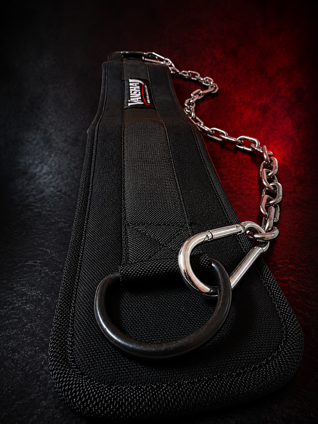 Vanshaj Heavy Duty Dip Belt with 2 Ft Steel Chain & Carabiners | 10 MM Thick Padding | 500 KG+ Capacity Per Side | Weighted Dips, Pull-Ups, Chin-Ups & Strength Training